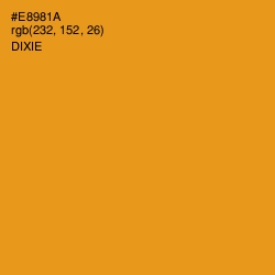 #E8981A - Dixie Color Image