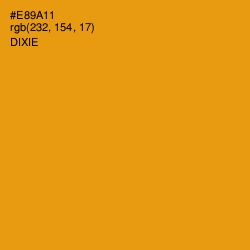 #E89A11 - Dixie Color Image