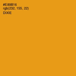 #E89B16 - Dixie Color Image