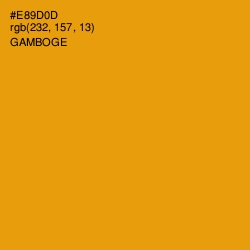 #E89D0D - Gamboge Color Image