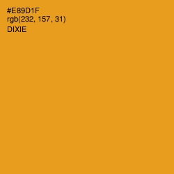 #E89D1F - Dixie Color Image