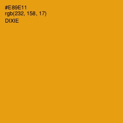 #E89E11 - Dixie Color Image