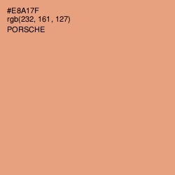 #E8A17F - Porsche Color Image