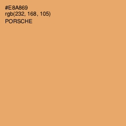 #E8A869 - Porsche Color Image