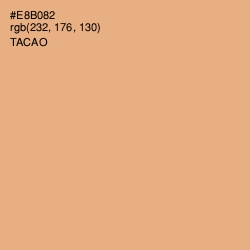 #E8B082 - Tacao Color Image