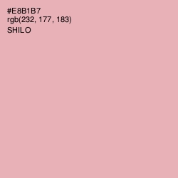 #E8B1B7 - Shilo Color Image