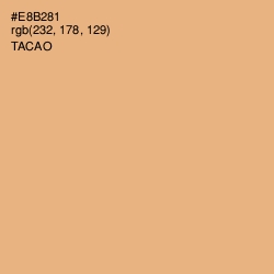 #E8B281 - Tacao Color Image