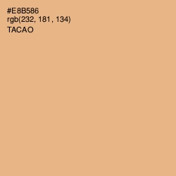 #E8B586 - Tacao Color Image
