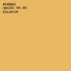 #E8B863 - Equator Color Image