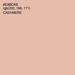 #E8BCAB - Cashmere Color Image