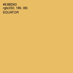 #E8BD63 - Equator Color Image