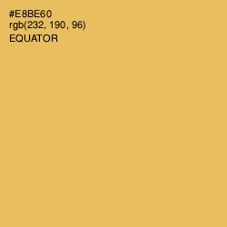 #E8BE60 - Equator Color Image