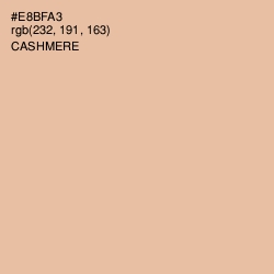 #E8BFA3 - Cashmere Color Image