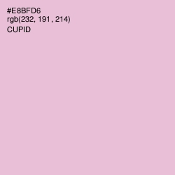 #E8BFD6 - Cupid Color Image