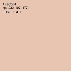 #E8C5B1 - Just Right Color Image