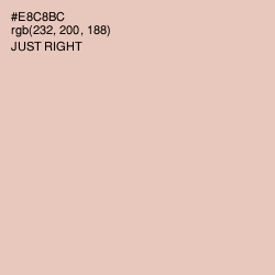 #E8C8BC - Just Right Color Image