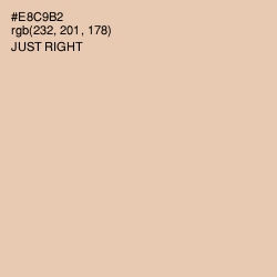 #E8C9B2 - Just Right Color Image