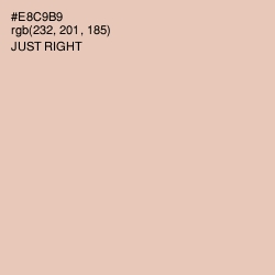 #E8C9B9 - Just Right Color Image
