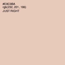 #E8C9BA - Just Right Color Image
