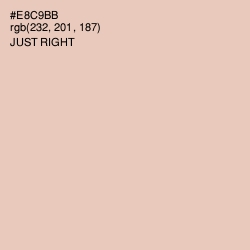 #E8C9BB - Just Right Color Image