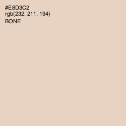 #E8D3C2 - Bone Color Image
