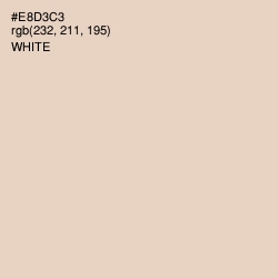 #E8D3C3 - Bone Color Image