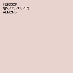 #E8D3CF - Almond Color Image