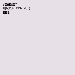 #E8E0E7 - Ebb Color Image