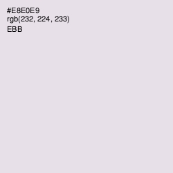 #E8E0E9 - Ebb Color Image