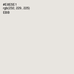 #E8E5E1 - Ebb Color Image