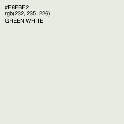 #E8EBE2 - Green White Color Image