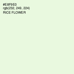 #E8F9E0 - Rice Flower Color Image