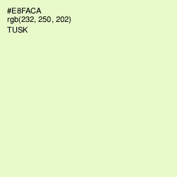 #E8FACA - Tusk Color Image
