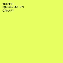 #E8FF61 - Canary Color Image