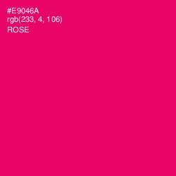 #E9046A - Rose Color Image