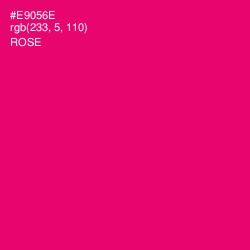 #E9056E - Rose Color Image