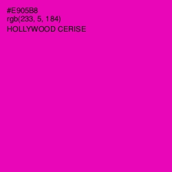 #E905B8 - Hollywood Cerise Color Image