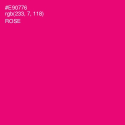 #E90776 - Rose Color Image