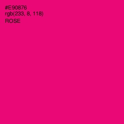 #E90876 - Rose Color Image