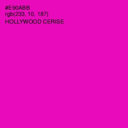 #E90ABB - Hollywood Cerise Color Image