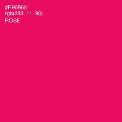 #E90B60 - Rose Color Image