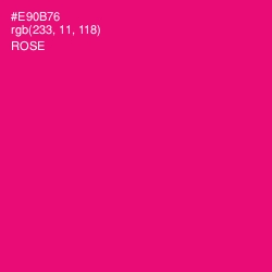 #E90B76 - Rose Color Image