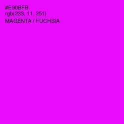 #E90BFB - Magenta / Fuchsia Color Image