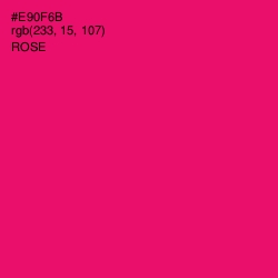 #E90F6B - Rose Color Image
