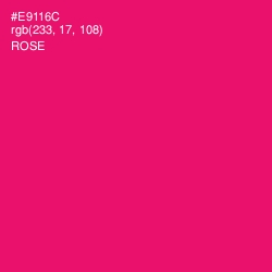 #E9116C - Rose Color Image