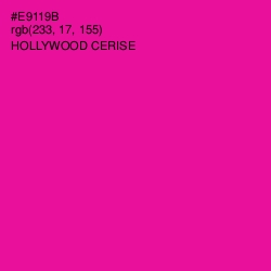 #E9119B - Hollywood Cerise Color Image