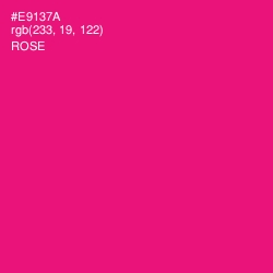 #E9137A - Rose Color Image