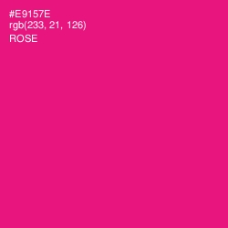 #E9157E - Rose Color Image