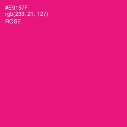 #E9157F - Rose Color Image