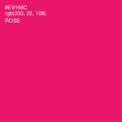 #E9166C - Rose Color Image